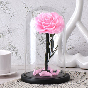 Artificial Flowers Red Roses Decoration Beauty and the Beast with Glass Dome Wood Base Fake Flowers for New Year Valentine Gifts