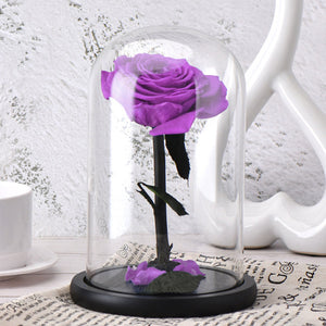 Artificial Flowers Red Roses Decoration Beauty and the Beast with Glass Dome Wood Base Fake Flowers for New Year Valentine Gifts