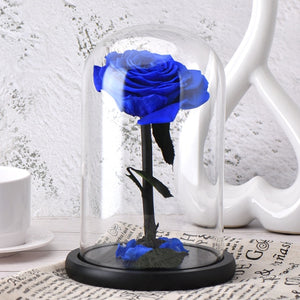 Artificial Flowers Red Roses Decoration Beauty and the Beast with Glass Dome Wood Base Fake Flowers for New Year Valentine Gifts