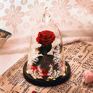 Artificial Flowers Red Roses Decoration Beauty and the Beast with Glass Dome Wood Base Fake Flowers for New Year Valentine Gifts