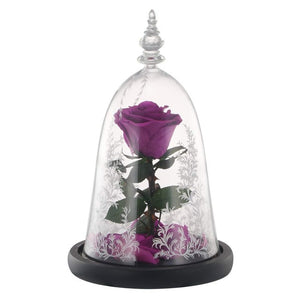 Artificial Flowers Red Roses Decoration Beauty and the Beast with Glass Dome Wood Base Fake Flowers for New Year Valentine Gifts