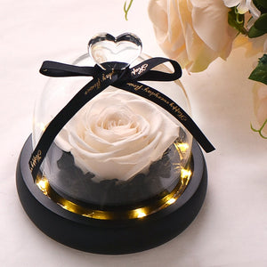 Artificial Flowers Red Roses Decoration Beauty and the Beast with Glass Dome Wood Base Fake Flowers for New Year Valentine Gifts