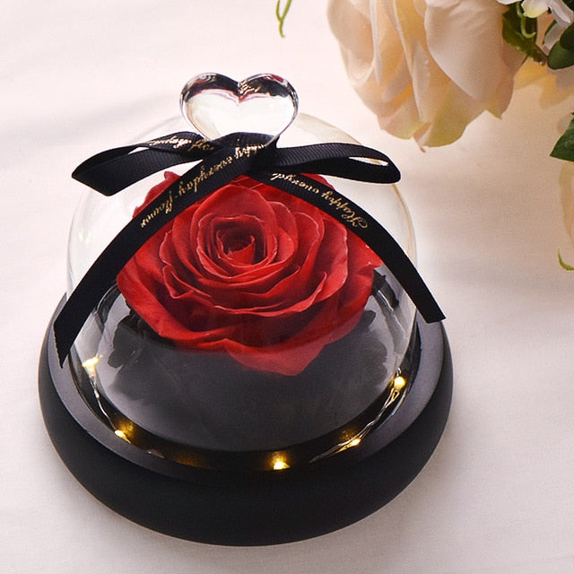 Artificial Flowers Red Roses Decoration Beauty and the Beast with Glass Dome Wood Base Fake Flowers for New Year Valentine Gifts