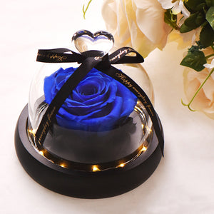 Artificial Flowers Red Roses Decoration Beauty and the Beast with Glass Dome Wood Base Fake Flowers for New Year Valentine Gifts